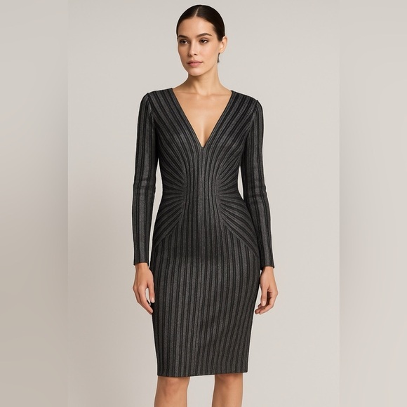 Tadashi Shoji Dresses & Skirts - Tadashi Shoji Stunning Black Metallic Striped Bodycon Long Sleeve V-Neck Dress